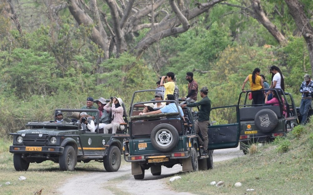 Jeep driving along a forest track on a Rajaji region wildlife safari