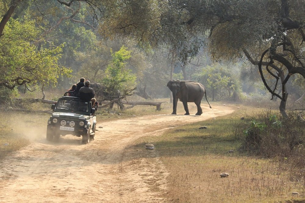 Open jeep safari experience in the forest landscape near Rishikesh, Uttarakhand