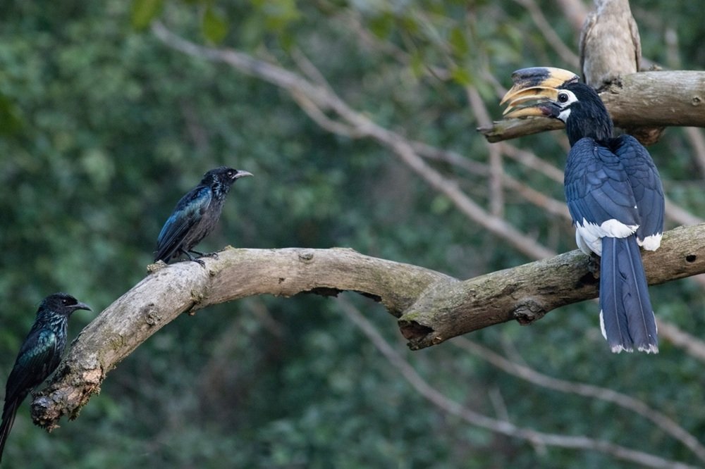 Quiet natural habitat near Rishikesh for a nature outing
